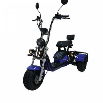 ЭЛЕКТРОСКУТЕР CITYCOCO Trike GT X6 PRO
