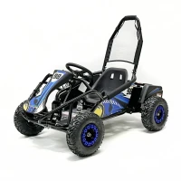 Багги GreenCamel Намиб T006 (48V20Ah 1000W R6 Цепь)